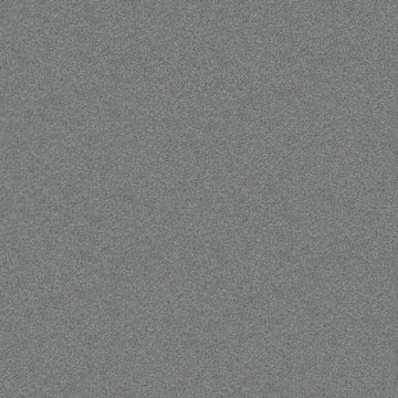 Shaw Your Comfort II - Dolphin Sighting