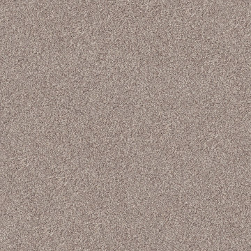 Shaw Inlet Shore II - Pale Ecru