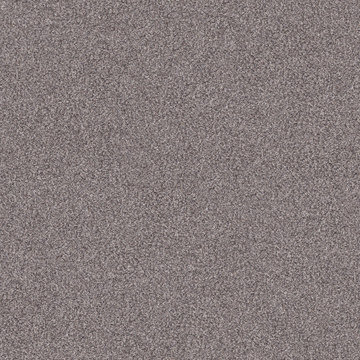 Shaw Inlet Shore II 15′ - Overcast