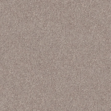 Shaw Inlet Shore I 15′ - Pale Ecru