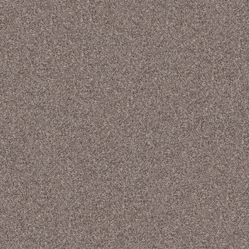Shaw Inlet Shore II - Smooth Stain