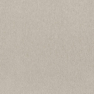 Shaw Clever Art - Almond Silk