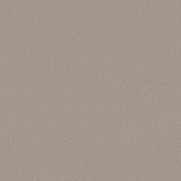 Shaw Austin Park - Studio Taupe