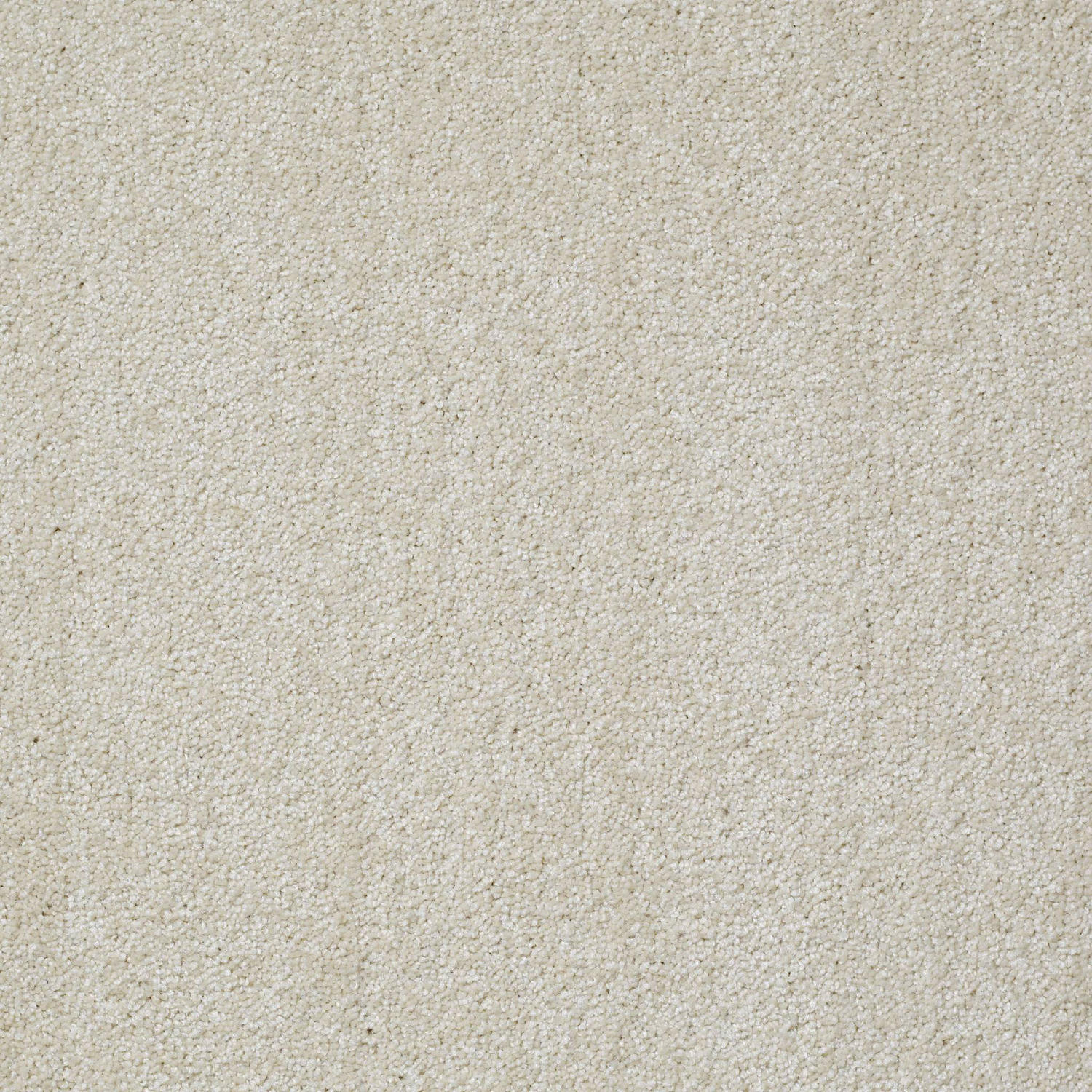 Shaw Las Cruces - Plaster