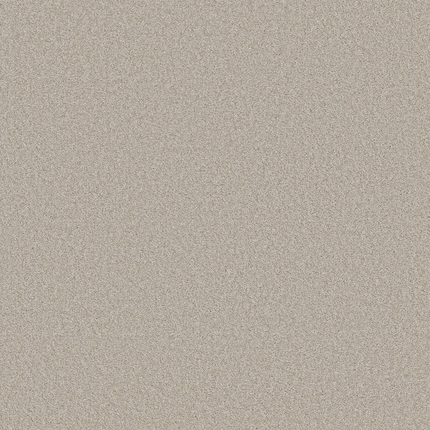 Shaw Del Rio II - Split Sediment