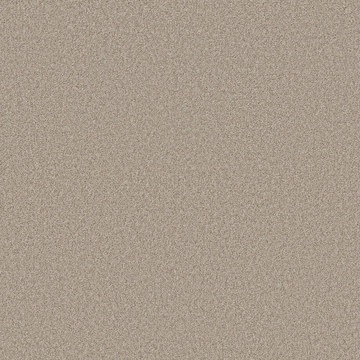 Shaw Del Rio II - Fossil Path