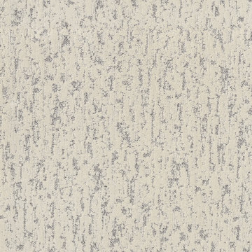 Shaw Calm Expression - Soft Focus