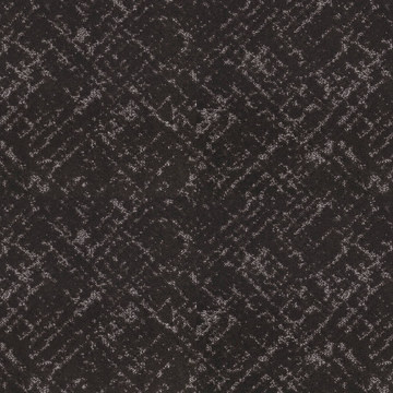 Shaw Sincere Focus - Bison