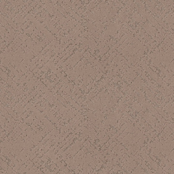 Shaw Sincere Focus - Canoe