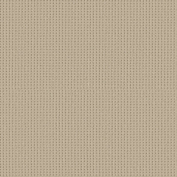 Shaw San Antonio - Biscuit