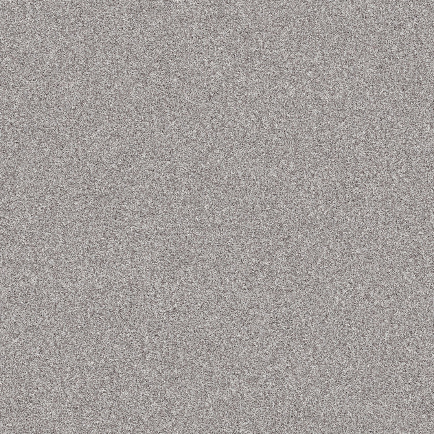 Shaw Inlet Shore II 15′ - Sheer White