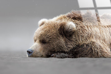 Serene Slumber Glass Art