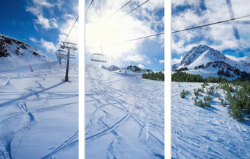 Alpine Serenity Triptych Glass Art