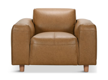 Robbins Leather Chair