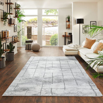 Kolkata Ivory & Light Gray Area Rug - 7′10″ x 10′0″