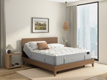 Champagne Euro Top Mattress - Queen