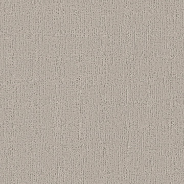 Shaw Curated Tone - Cool Winter