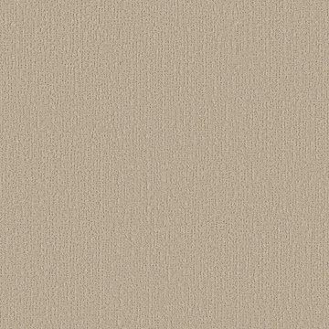 Shaw Curated Tone - Summertime