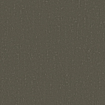 Shaw Curated Tone - Olive Tree