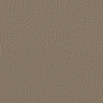 Shaw Curated Tone - Natural Stone