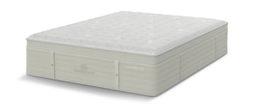 Repose Cush Firm Euro Top - Queen 