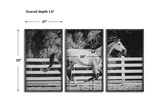 Galloping Forward Equine Prints Set/3 thumbnail 5