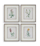 Heirloom Blooms Study Framed Prints Set/4 thumbnail 1