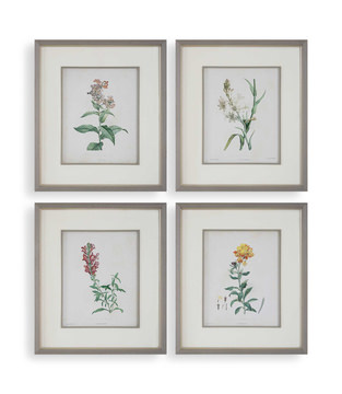 Heirloom Blooms Study Framed Prints Set/4