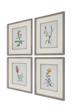 Heirloom Blooms Study Framed Prints Set/4 thumbnail 3