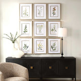 Botanical Flowers Framed Prints Set/9 thumbnail 7