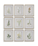 Botanical Flowers Framed Prints Set/9 thumbnail 1