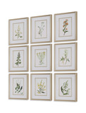 Botanical Flowers Framed Prints Set/9 thumbnail 4