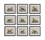 Equine Dynasty Framed Prints Set/9 thumbnail 1