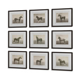Equine Dynasty Framed Prints Set/9 thumbnail 4