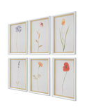 Wild Flourish Framed Floral Prints Set/6 thumbnail 4