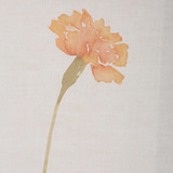 Wild Flourish Framed Floral Prints Set/6 thumbnail 8