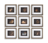 Resting Bunny Framed Prints Set/9 thumbnail 1