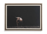 King Of The Hill Framed Bovine Print thumbnail 1