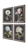 Florals On Black Framed Prints Set/4 thumbnail 4