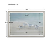 Tranquil Shorebirds On The Sand Framed Print thumbnail 4