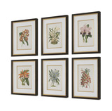 Orchid Botanical Framed Prints Set/6 thumbnail 4