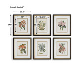 Orchid Botanical Framed Prints Set/6 thumbnail 3