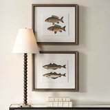 The Catch Framed Fish Prints Set/2 thumbnail 7