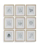 Nature’s Script Framed Botanical Prints Set/9 thumbnail 1