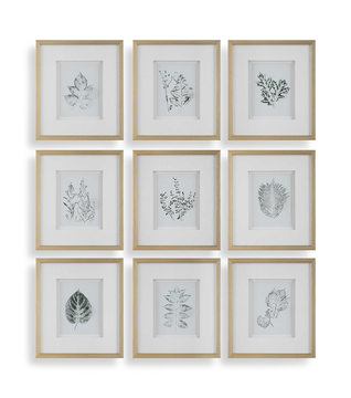 Nature’s Script Framed Botanical Prints Set/9