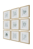 Nature’s Script Framed Botanical Prints Set/9 thumbnail 4