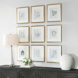 Nature’s Script Framed Botanical Prints Set/9 thumbnail 8