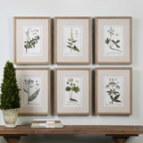 Green Floral Botanical Study Prints Set/6 thumbnail 3