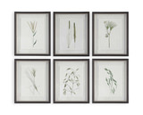 Forest Finds Framed Prints Set/6 thumbnail 1