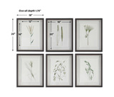 Forest Finds Framed Prints Set/6 thumbnail 6